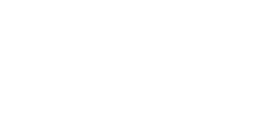 Special item